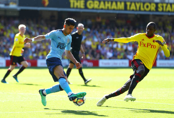 不可替代的 不可替代的