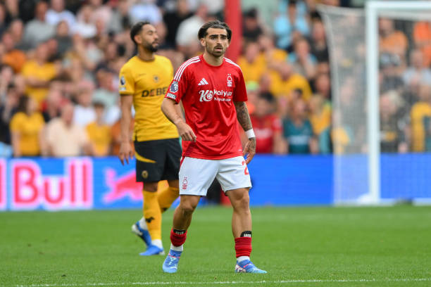 涯不仅仅是 涯不仅仅是